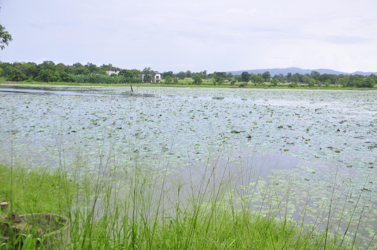 Rock Lake Home Stay Sigiriya Exterior foto