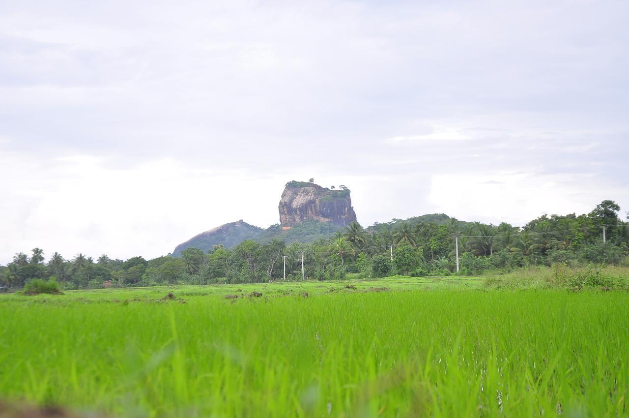 Rock Lake Home Stay Sigiriya Exterior foto