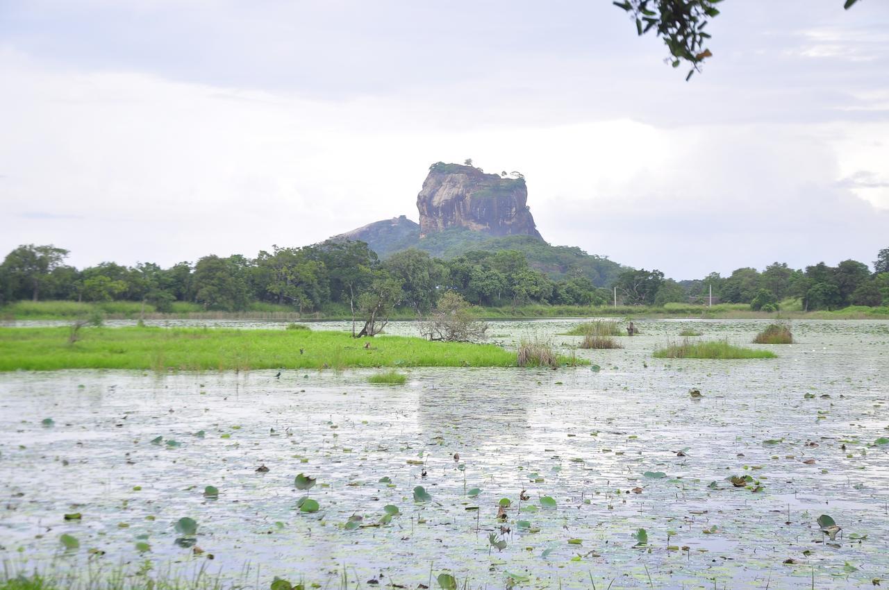 Rock Lake Home Stay Sigiriya Exterior foto