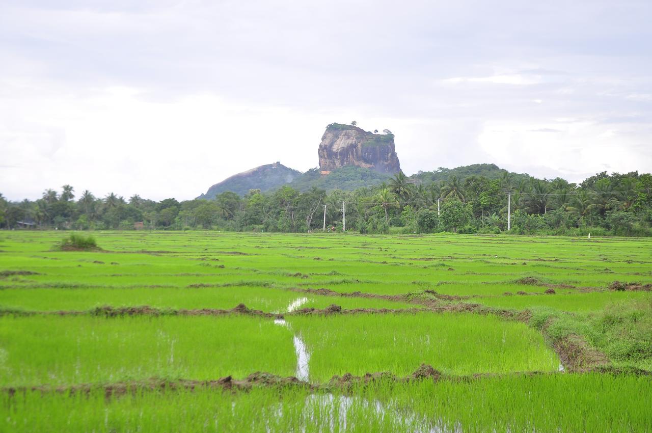 Rock Lake Home Stay Sigiriya Exterior foto