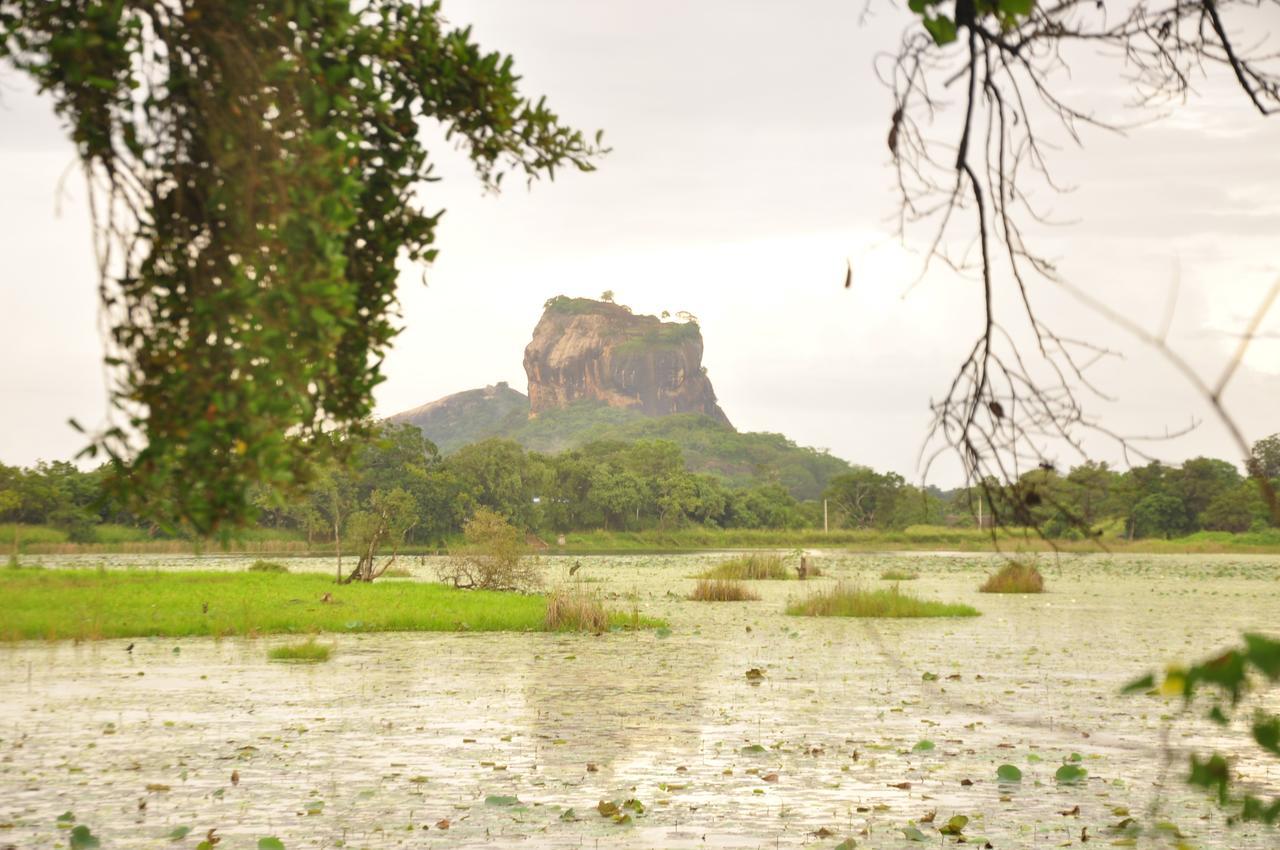 Rock Lake Home Stay Sigiriya Exterior foto
